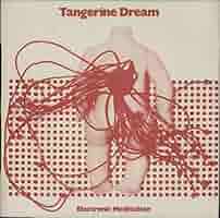 Amazon.com: Electronic Meditation: CDs y Vinilo